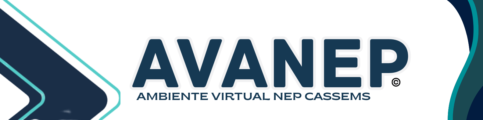 🎓 Plataforma AVANEP©